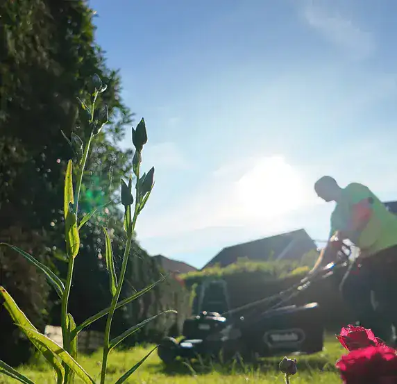 A garden looked after on the round