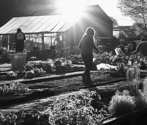 Community gardens